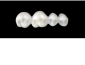 Cod.E2UPPER RIGHT : 15x  posterior hollow wax veneers-bridges, MEDIUM, (44-47), with precarved occlusion to Cod.E2LOWER RIGHT, and compatible to Cod.S2UPPER RIGHT (solid), (44-47)